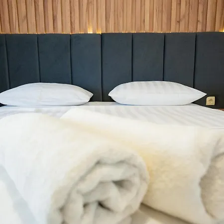 Ellena Guest house *