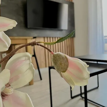 Ellena Guest house 3*